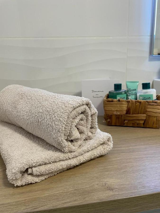 Apartamento Le Tranquille - Calme - Parking Prive Ambilly Exterior foto